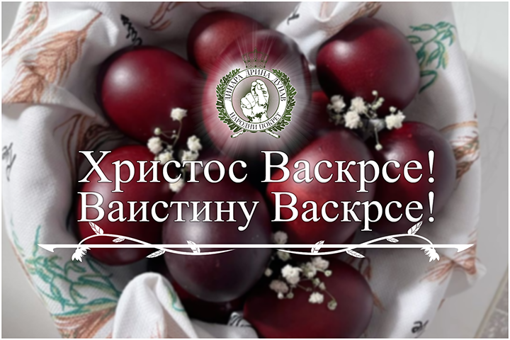 слика чланка