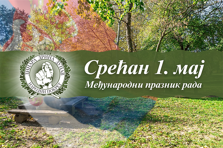 слика чланка