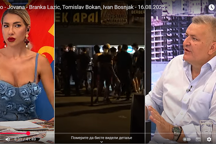 слика чланка