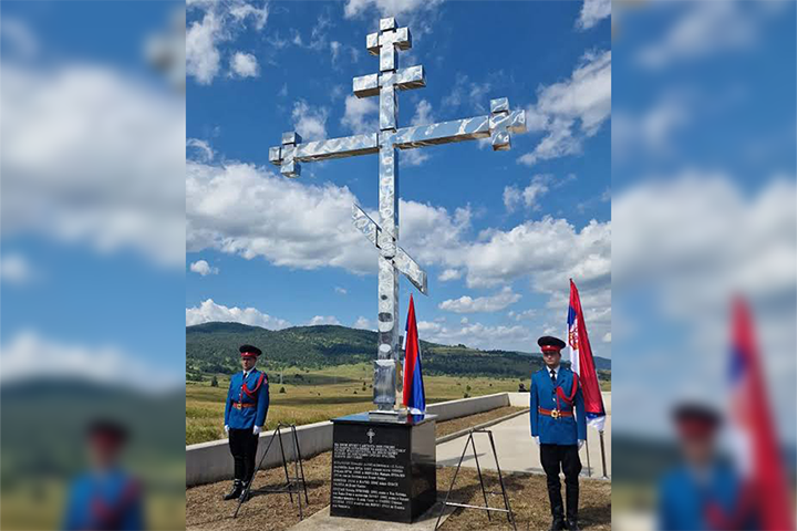 слика чланка